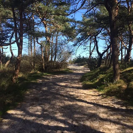 Wassermusik Juliusruh